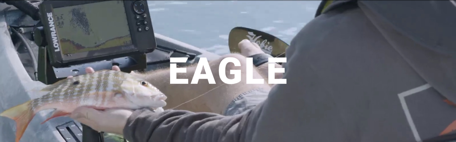 Эхолот Eagle