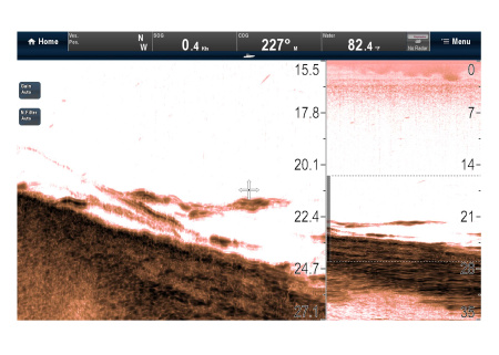 RAYMARINE Downvision Sonar Module CP100 E70204 от прозводителя Raymarine