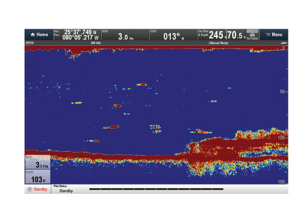 RAYMARINE CP370 Digital Sonar Unit E70297 от прозводителя Raymarine