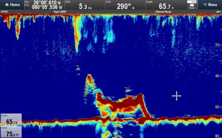 Raymarine CP470 E70298 от прозводителя Raymarine